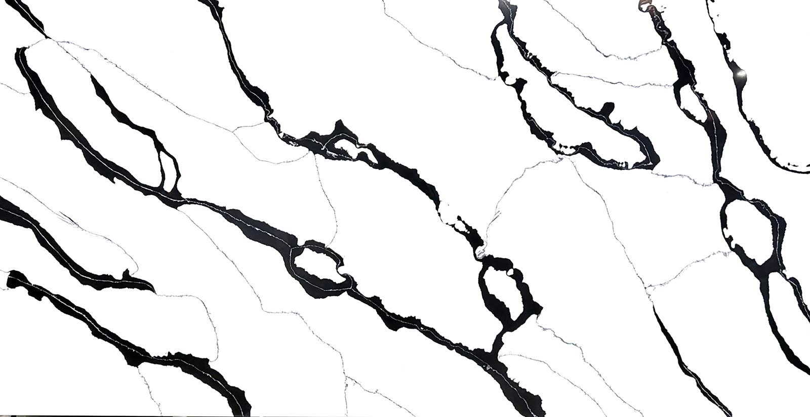 Calacatta Perissa Quartz sample